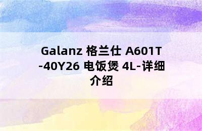 Galanz 格兰仕 A601T-40Y26 电饭煲 4L-详细介绍